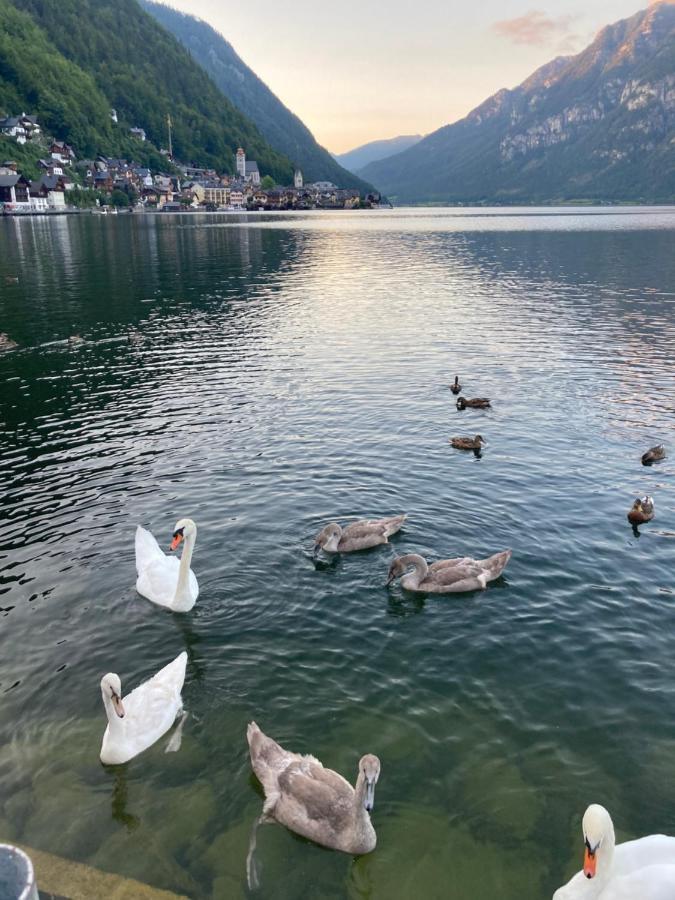 Hallstatt Lakeside Top 4 - Zimmer Mit Balkon 外观 照片